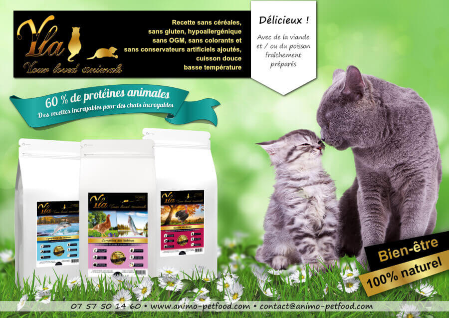 croquettes-pour-chat-sans-cereales-ni-gluten